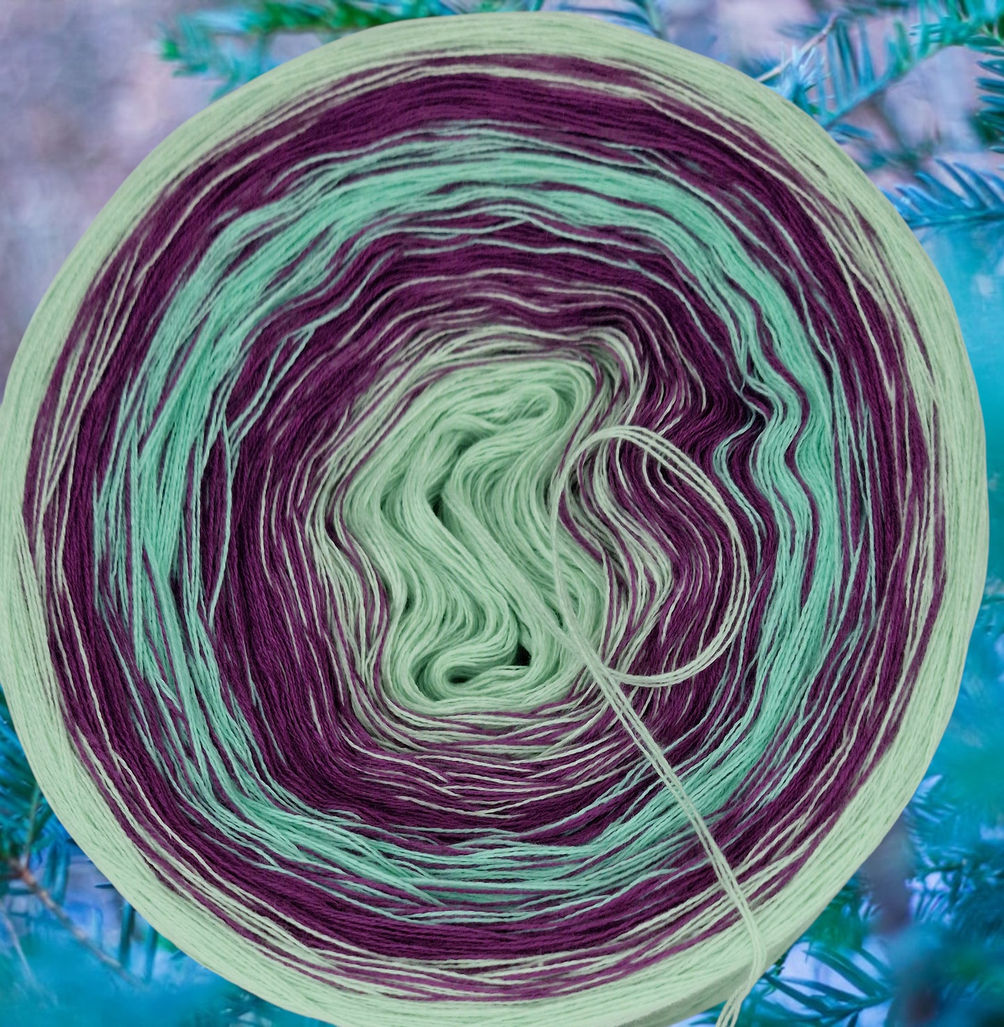 Programm Bobbel Nr. 102