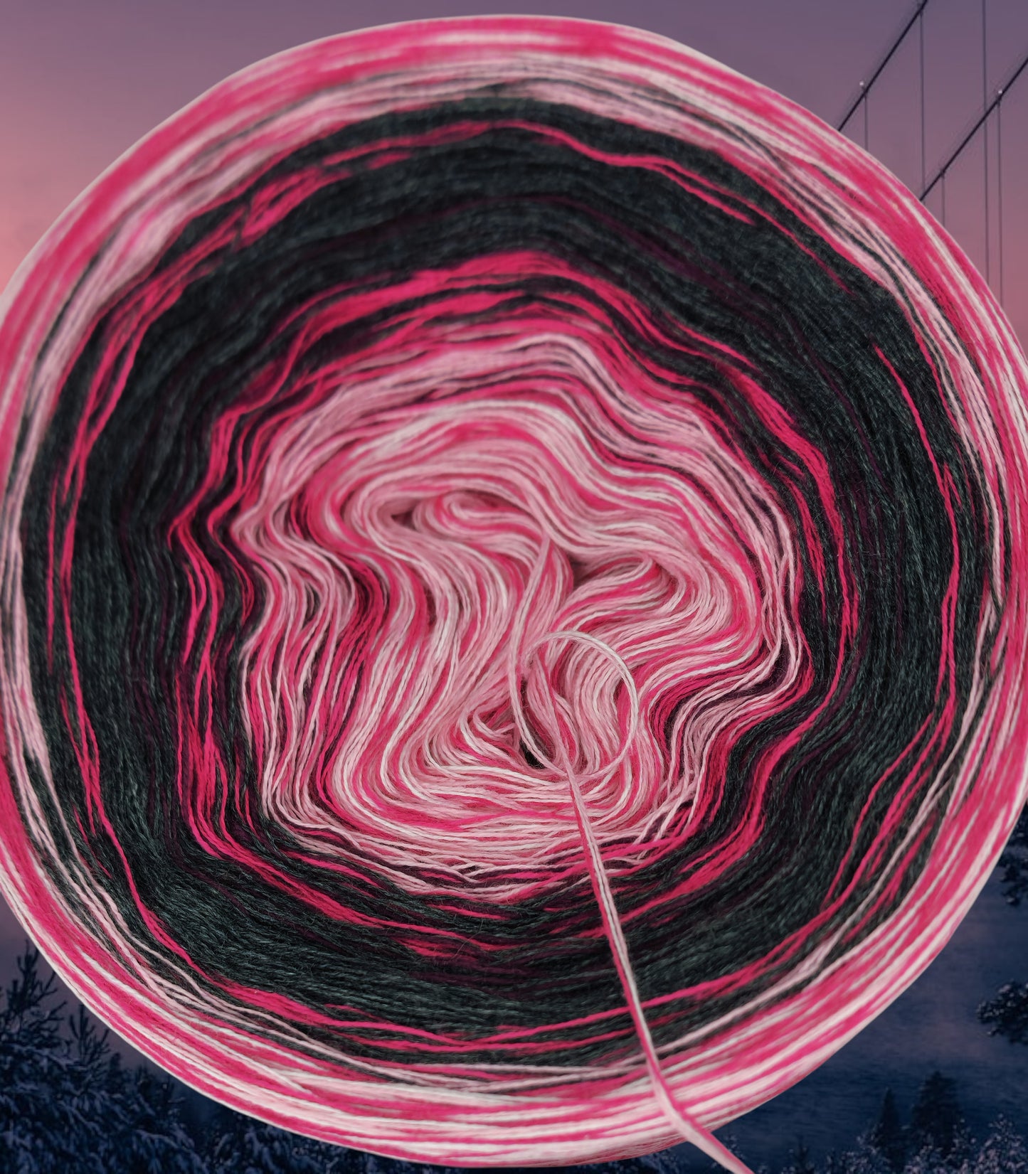 Programm Bobbel Nr. 113