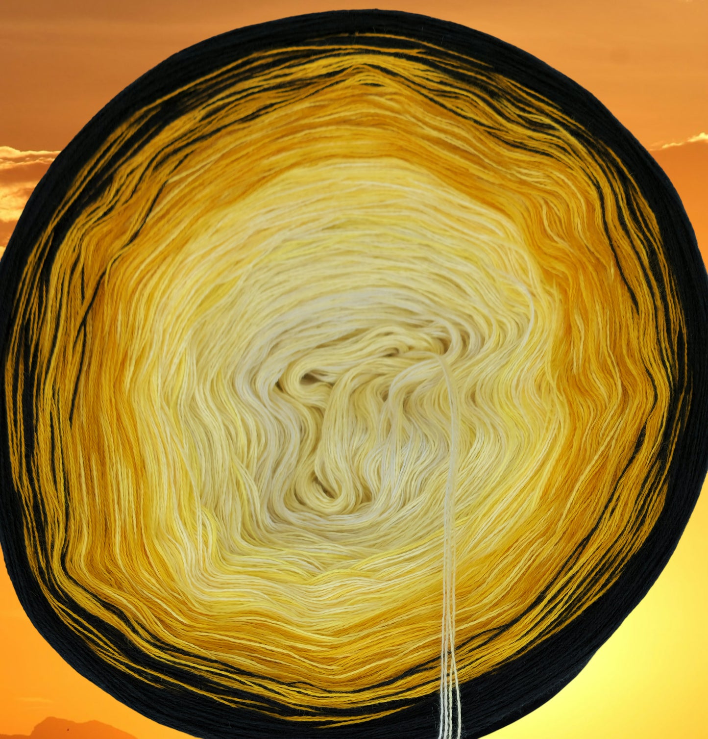 Programm Bobbel Nr. 116