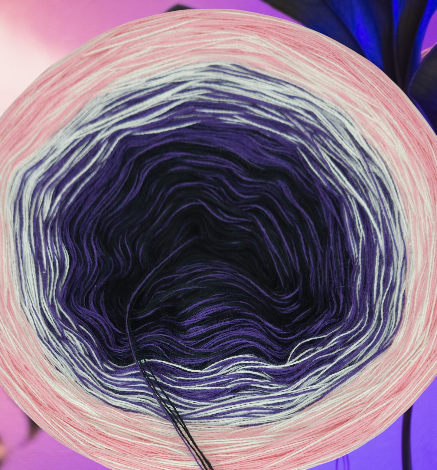 Programm Bobbel Nr. 124