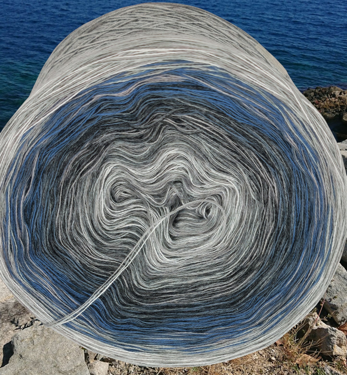 Programm Bobbel Nr. 169