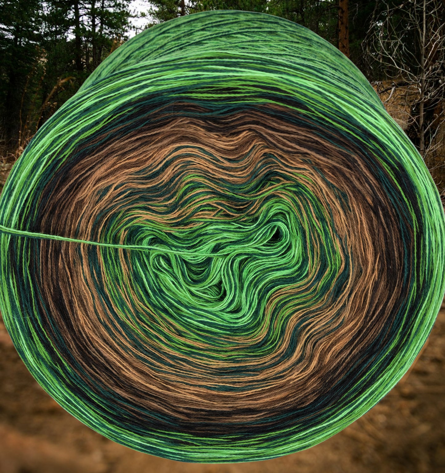 Programm Bobbel Nr. 170