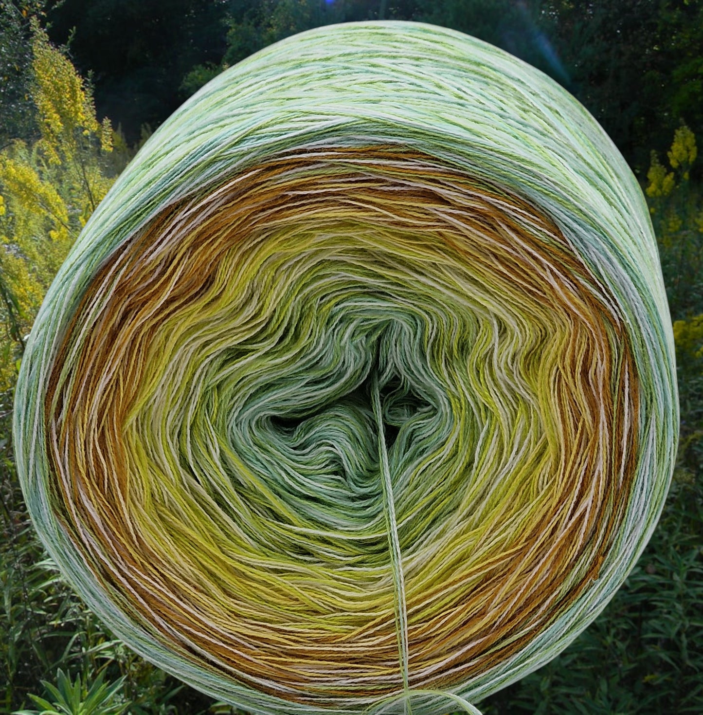 Programm Bobbel Nr. 018