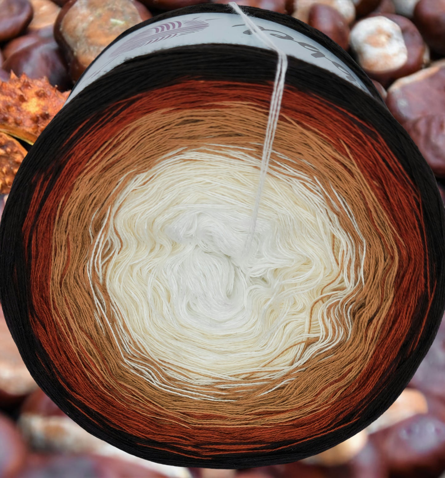 Programm Bobbel Nr. 184