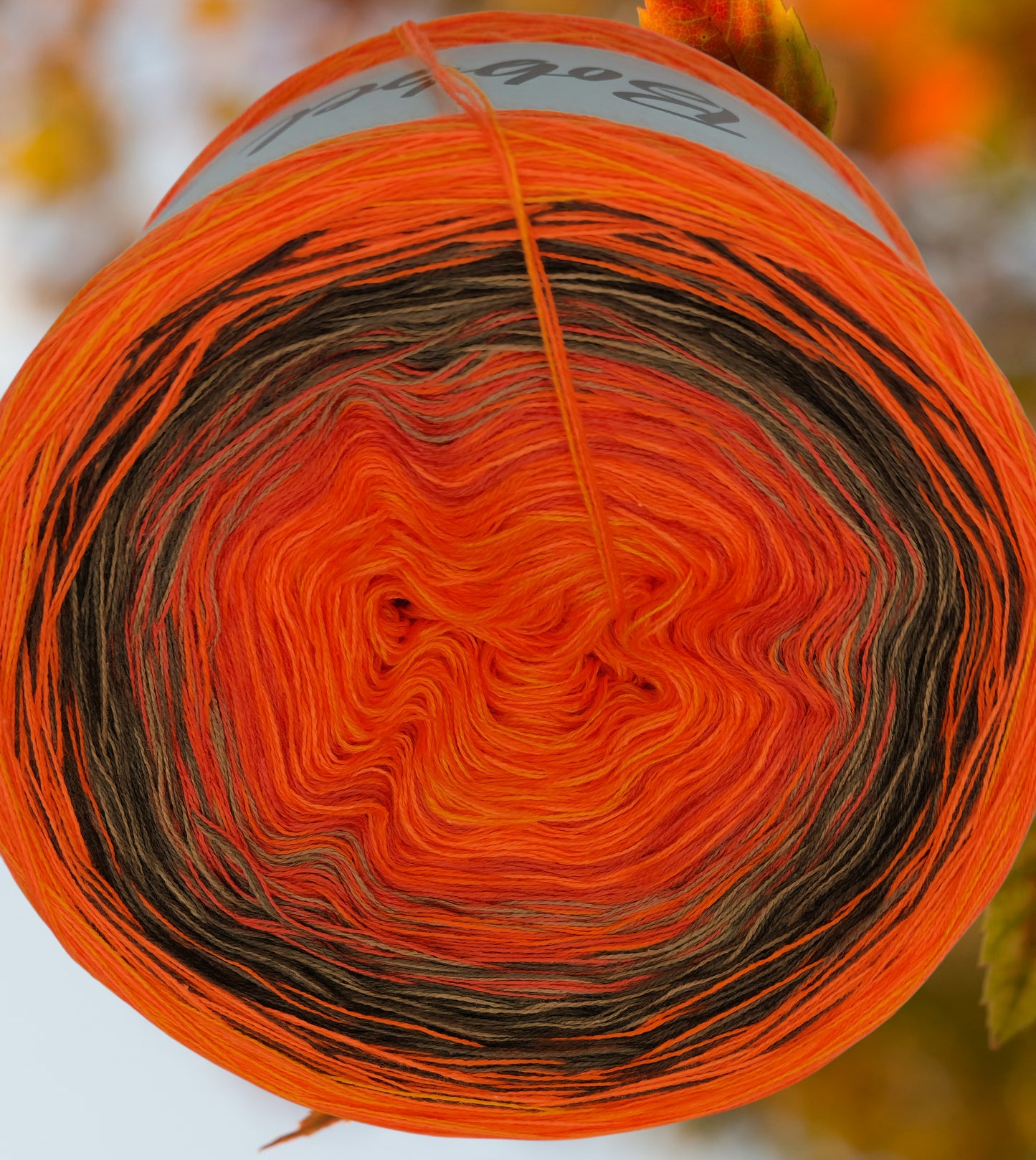 Programm Bobbel Nr. 193