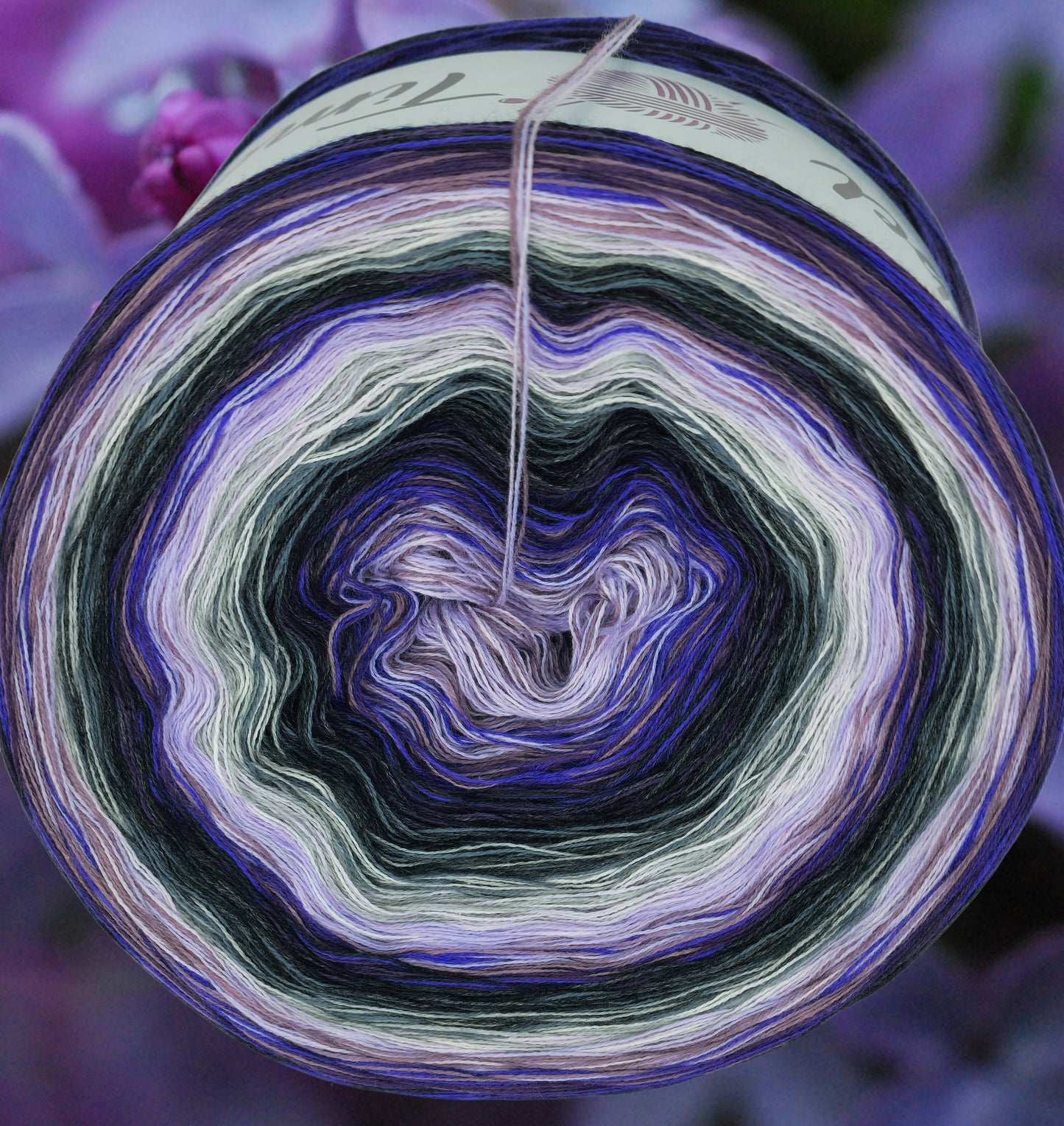 Programm Bobbel Nr. 211