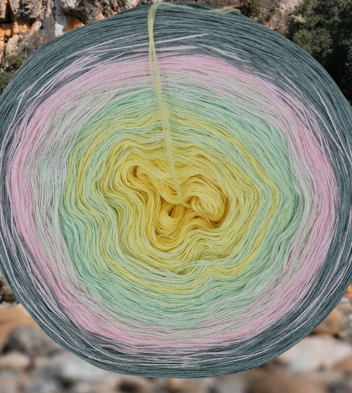 Programm Bobbel Nr. 222