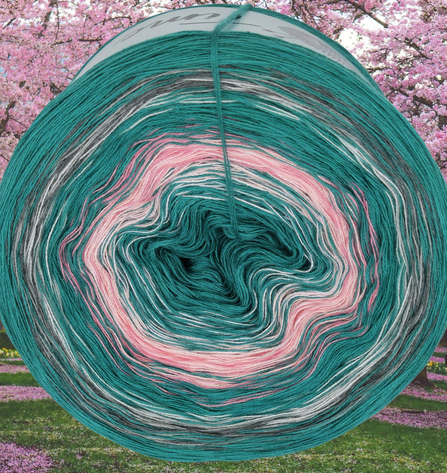 Programm Bobbel Nr. 244