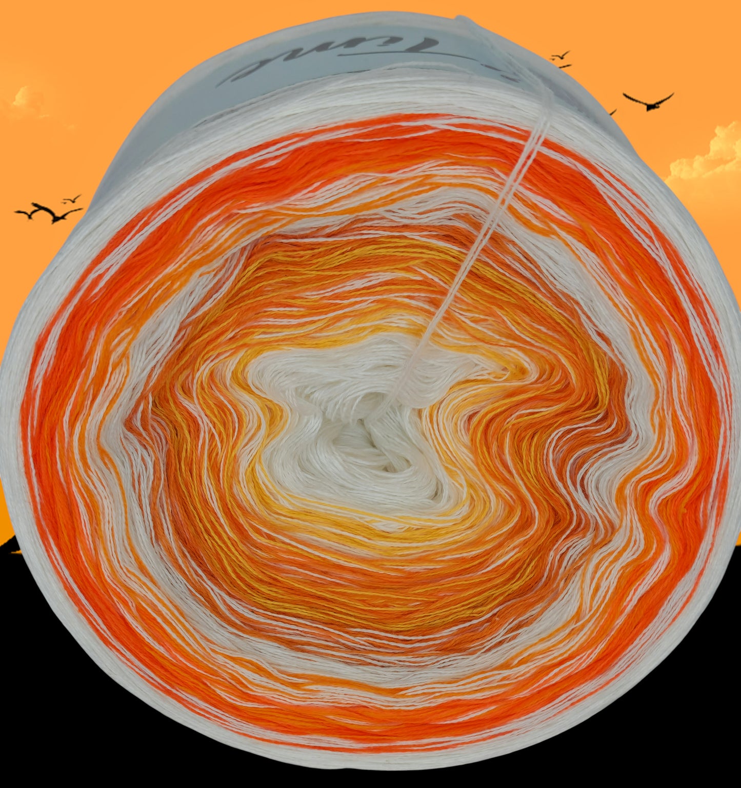 Programm Bobbel Nr. 266