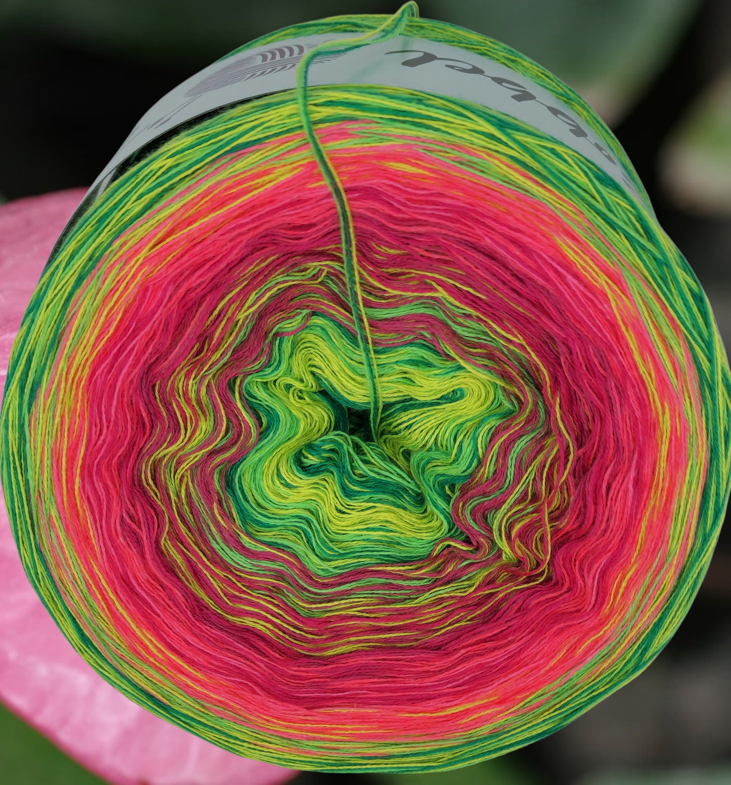 Programm Bobbel Nr. 293