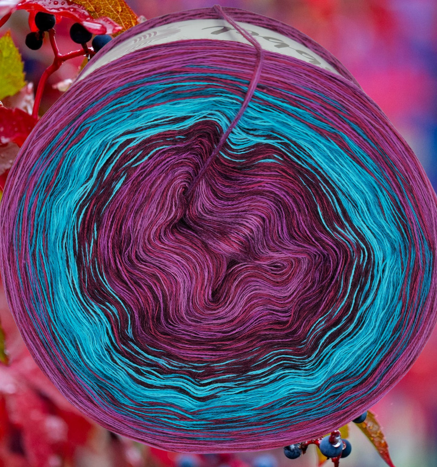 Programm Bobbel Nr. 317