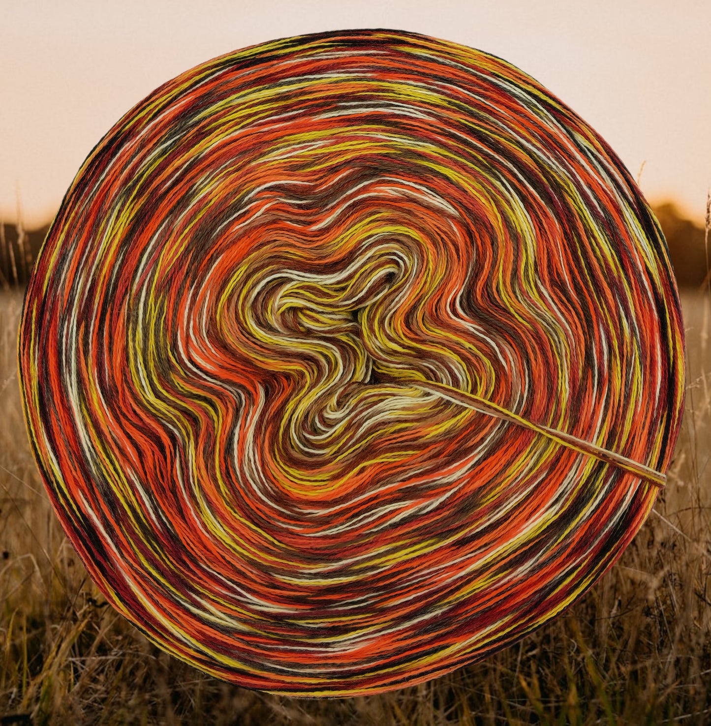 Programm Bobbel Nr. 328