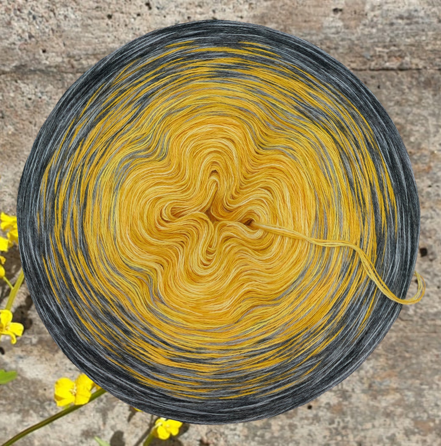 U 336 Bobbel 1500m/4