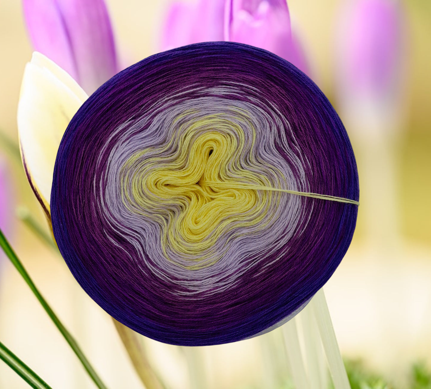 Programm Bobbel Nr. 340