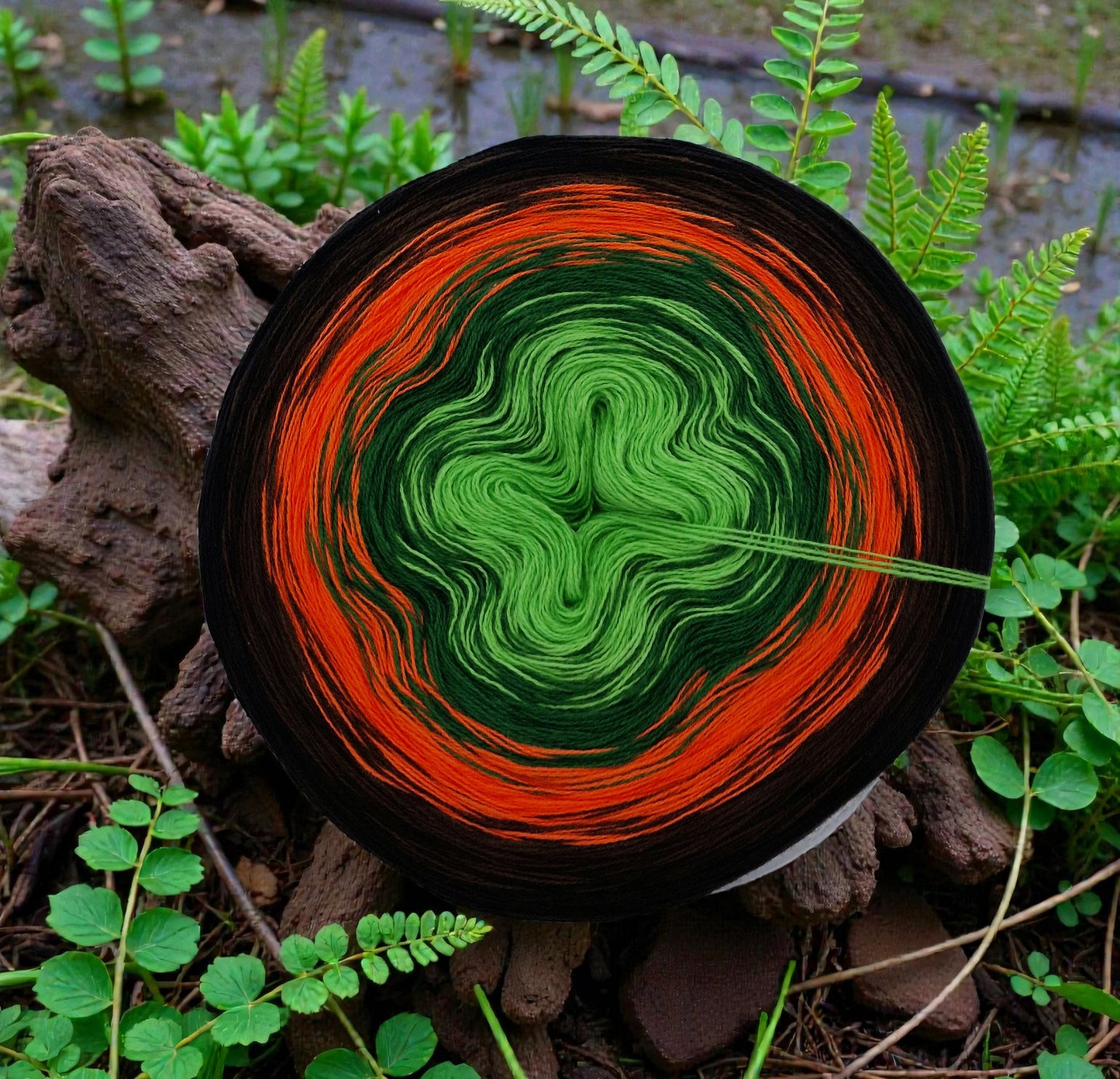 Programm Bobbel Nr. 345