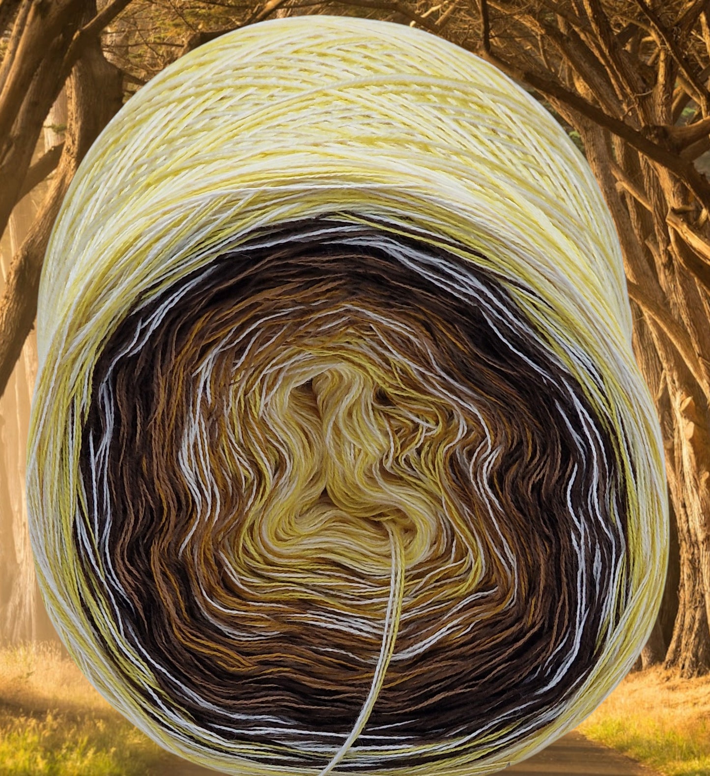 Programm Bobbel Nr. 044