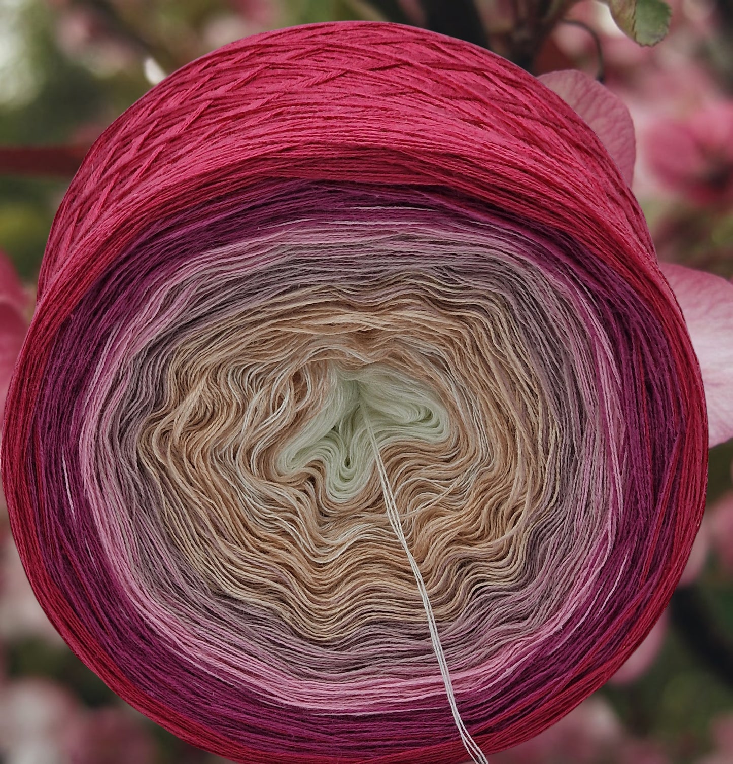 Programm Bobbel Nr. 061