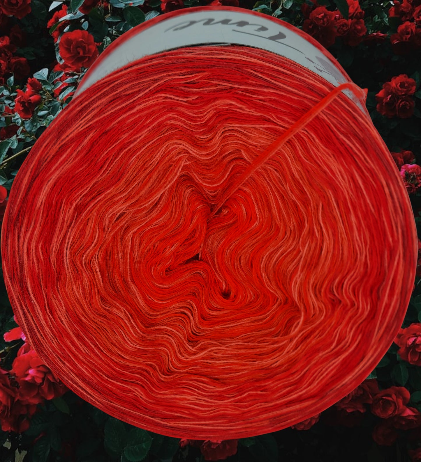 U 195 Bobbel 1200m/4