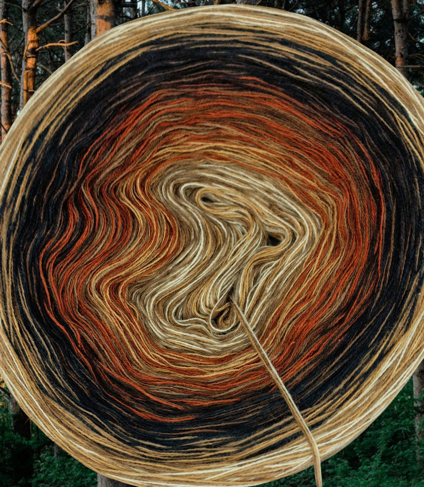 Programm Bobbel Nr. 118