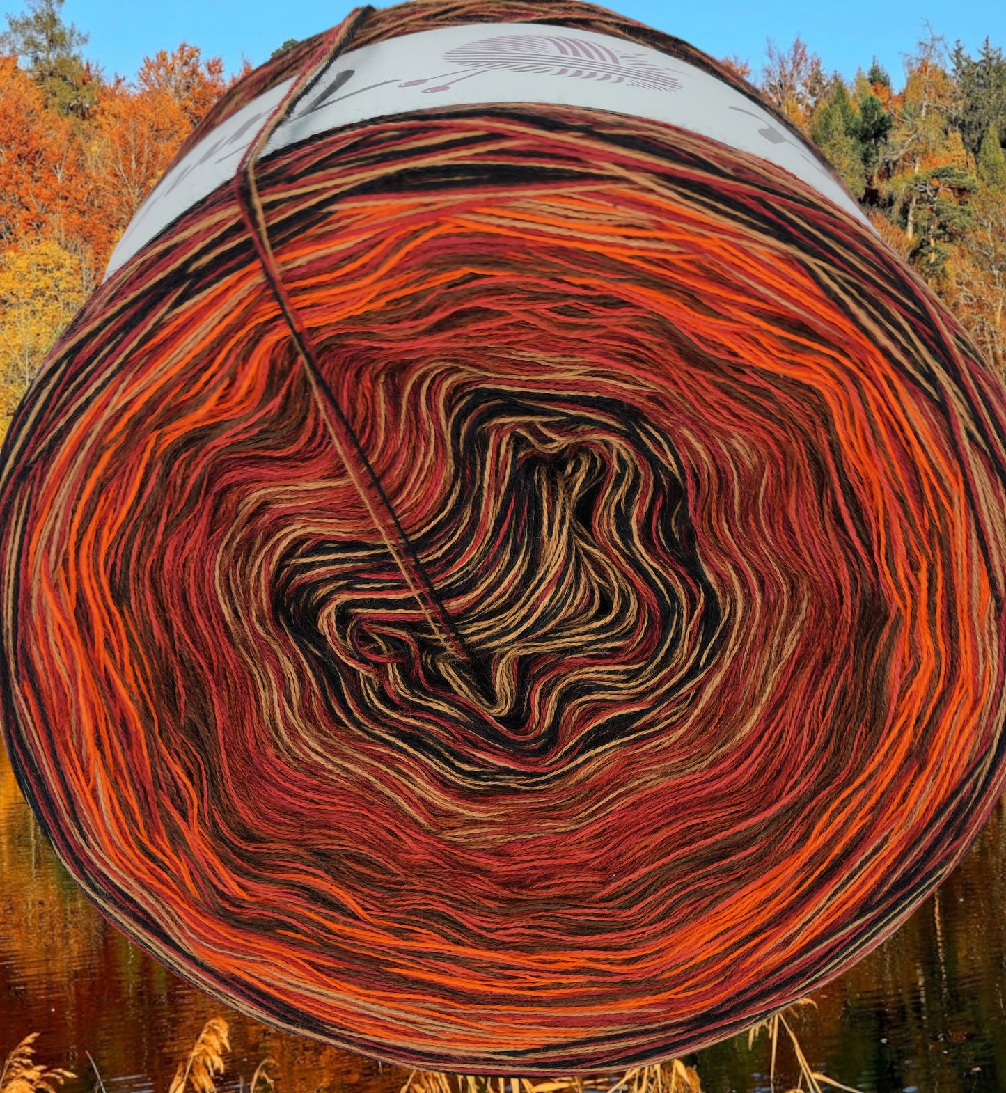 Programm Bobbel Nr. 176