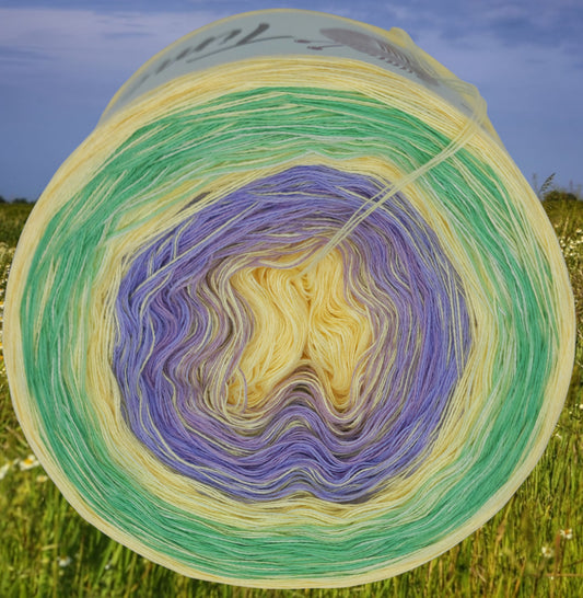 Programm Bobbel Nr. 246