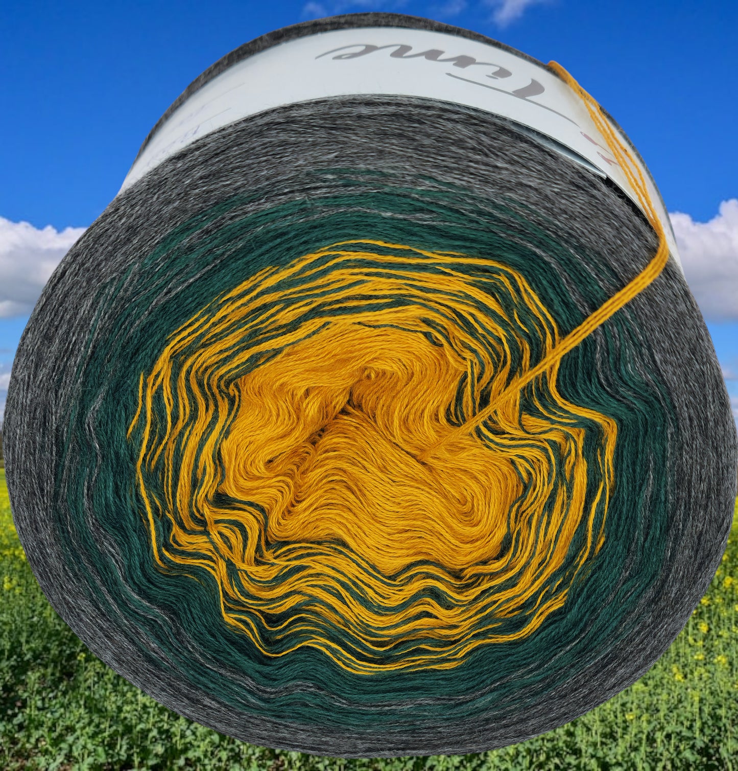 Programm Bobbel Nr. 276