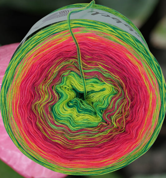 Programm Bobbel Nr. 293