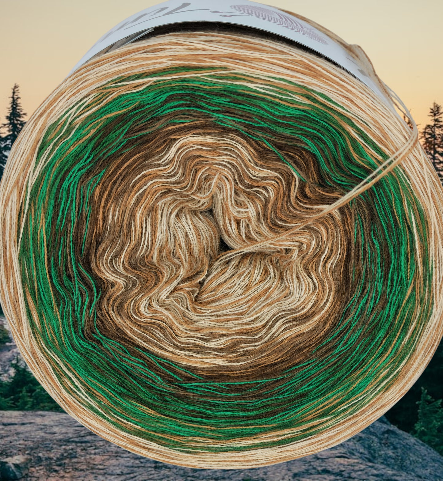 Programm Bobbel Nr. 294