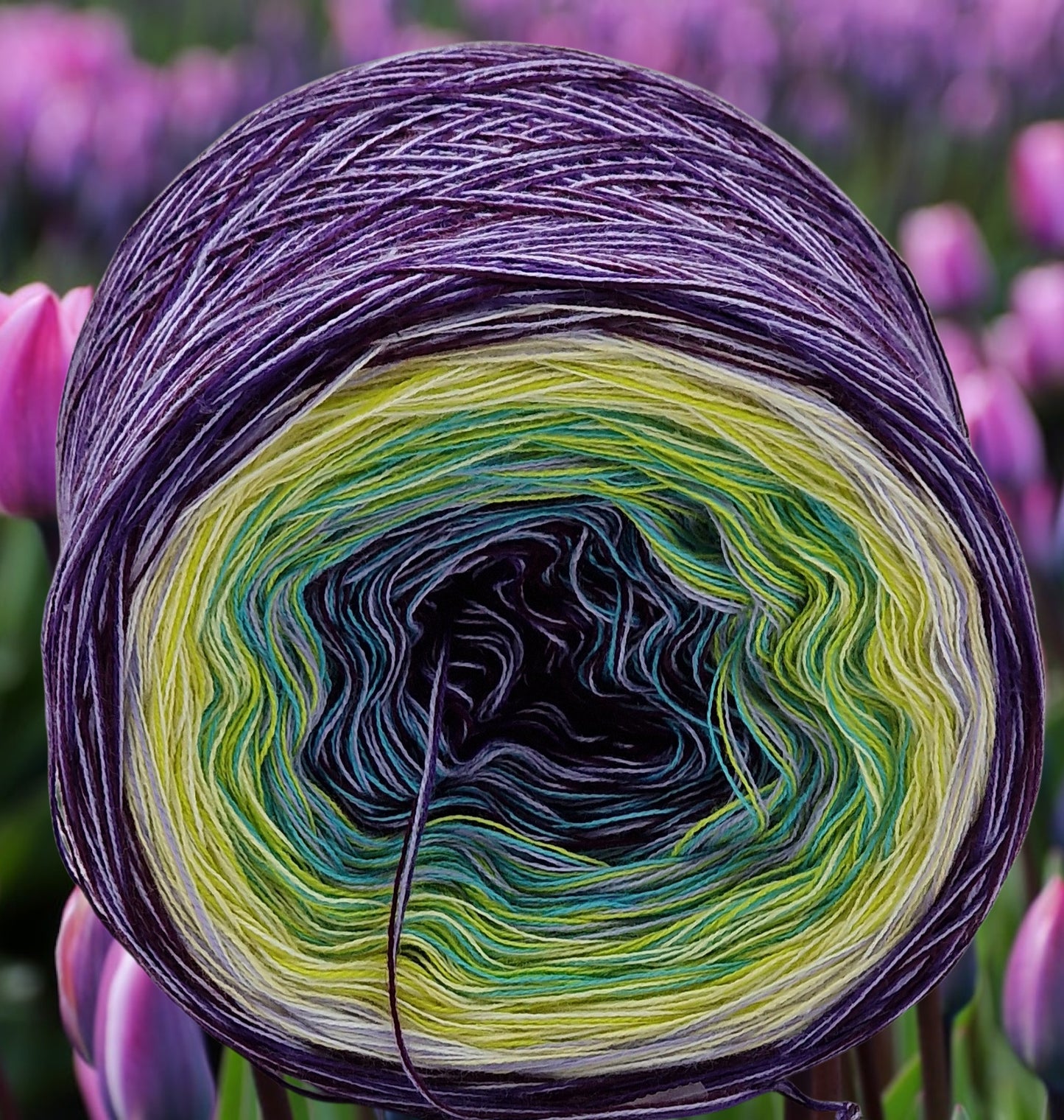 Programm Bobbel Nr. 030