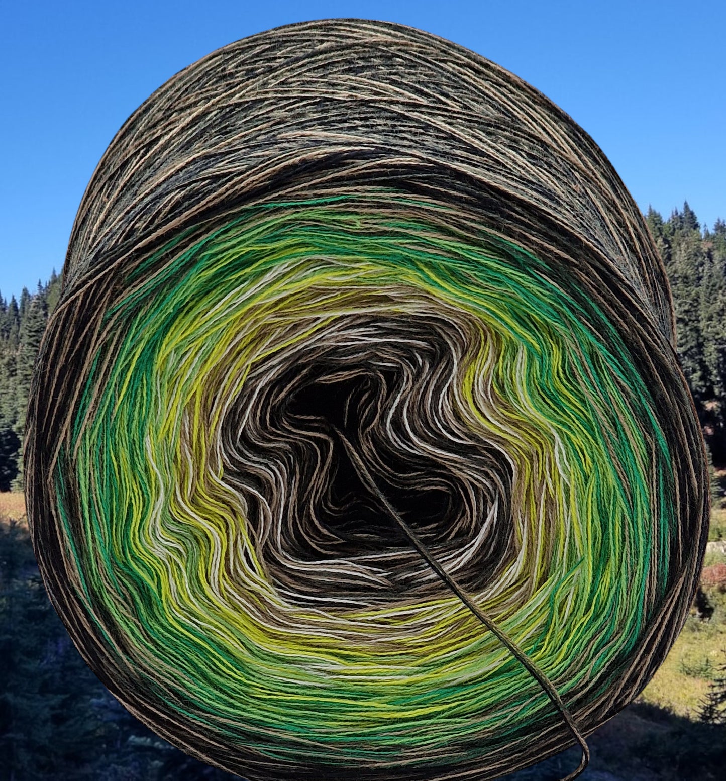 Programm Bobbel Nr. 031