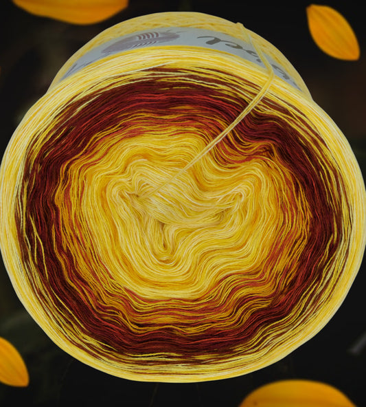 Programm Bobbel Nr. 323