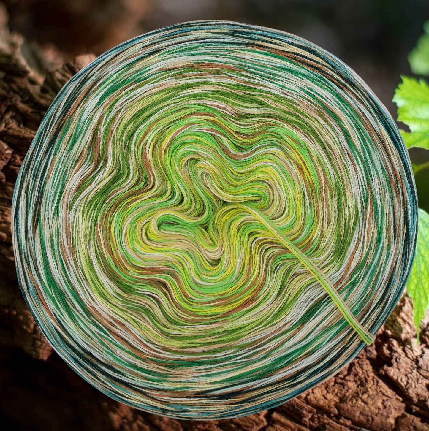 Programm Bobbel Nr. 327