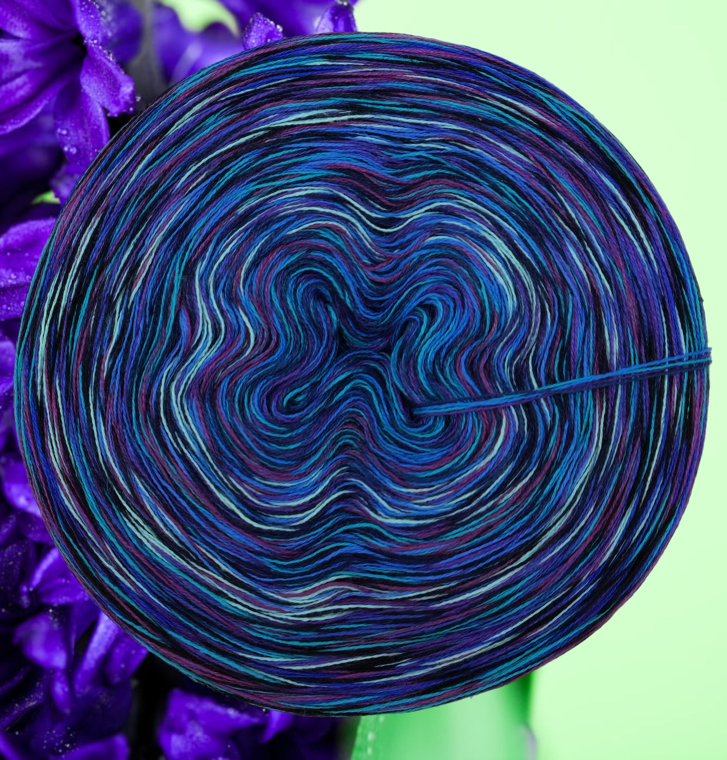 Programm Bobbel Nr. 329