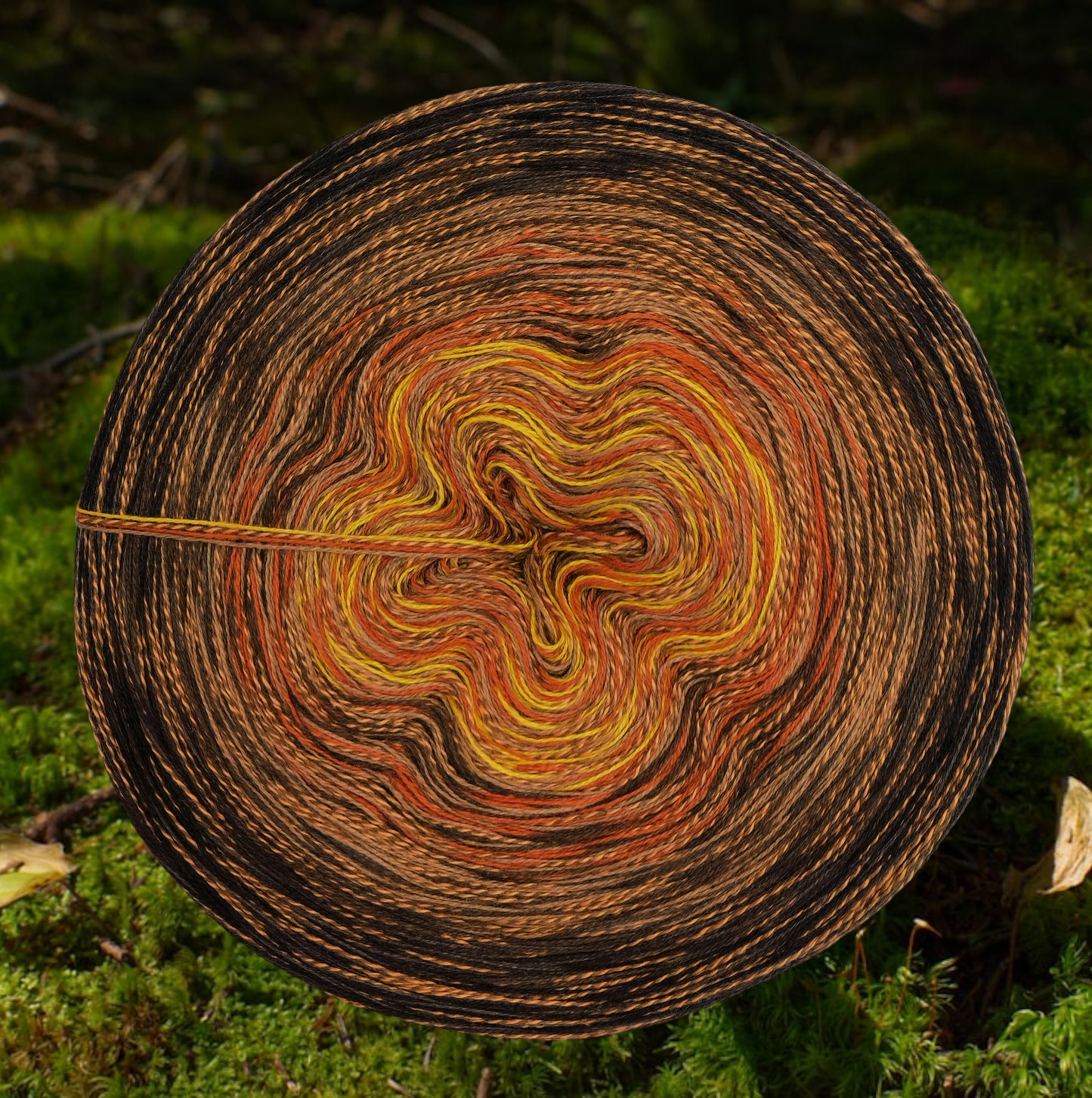 U 331 Bobbel 1500m/4