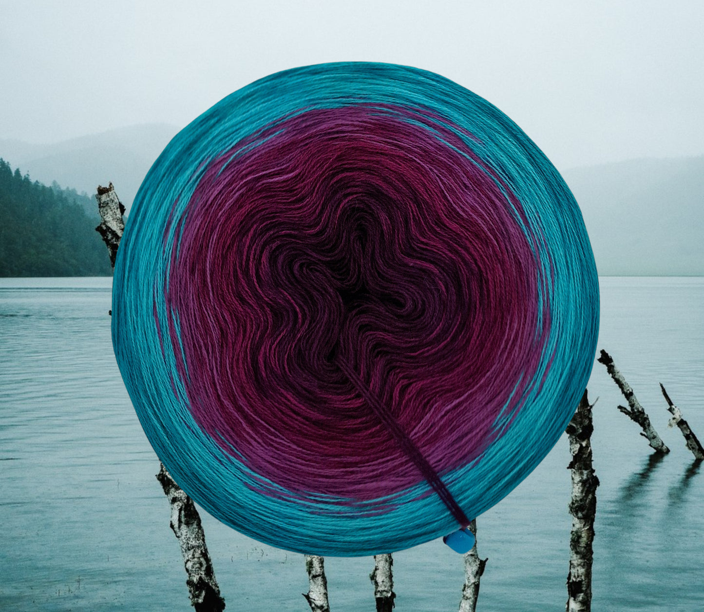 Programm Bobbel Nr.  342