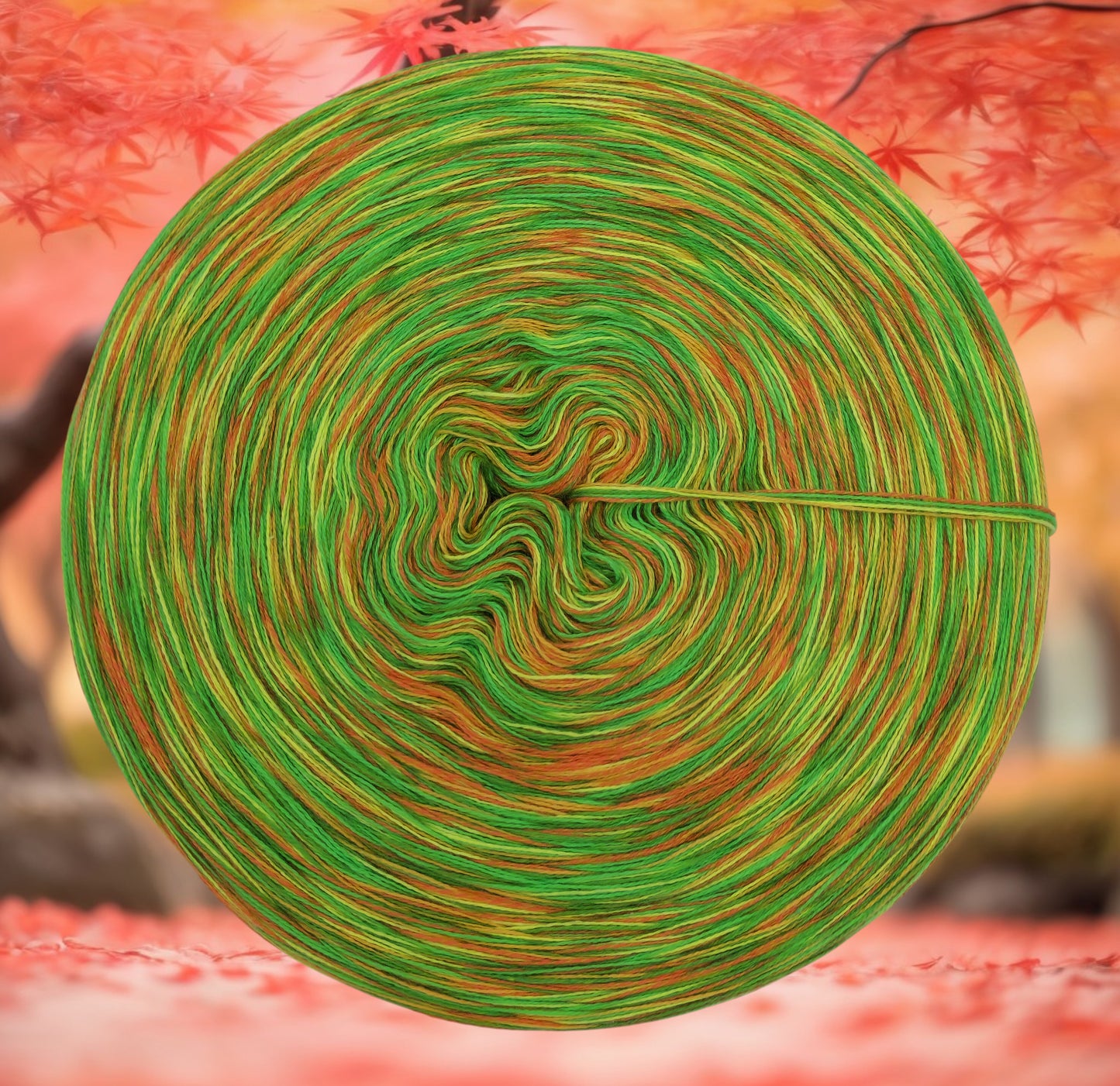 U 344 Bobbel 1500m/5