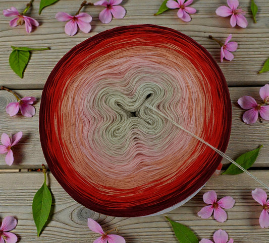 Programm Bobbel Nr. 346