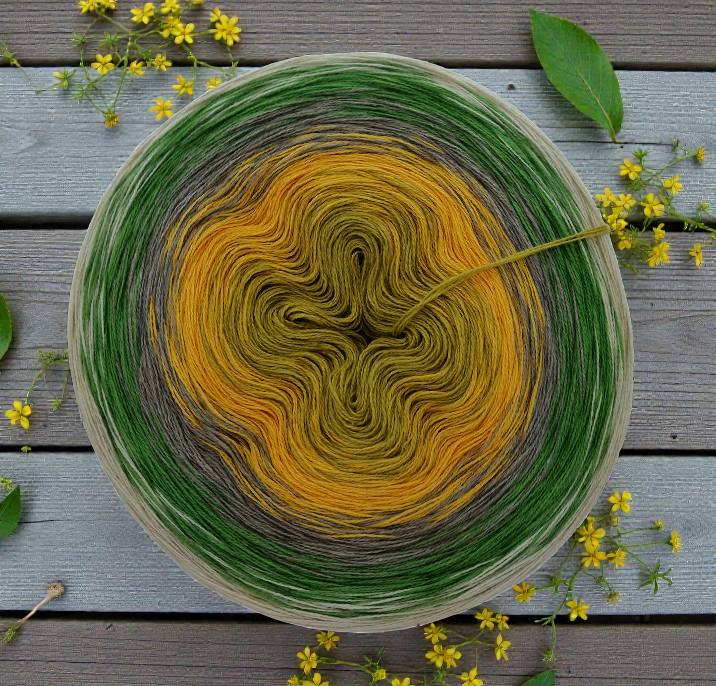 Programm Bobbel Nr. 349