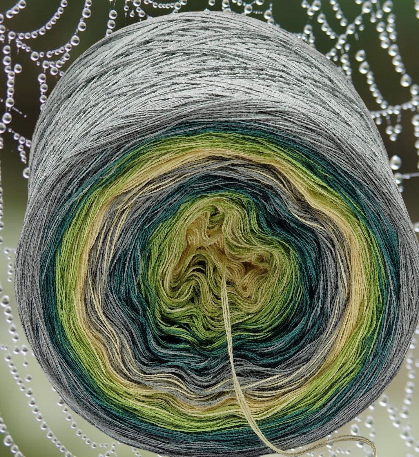 Programm Bobbel Nr. 052