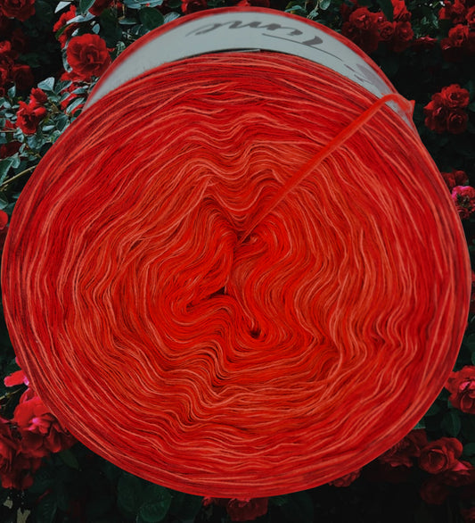 U 195 Bobbel 1200m/4