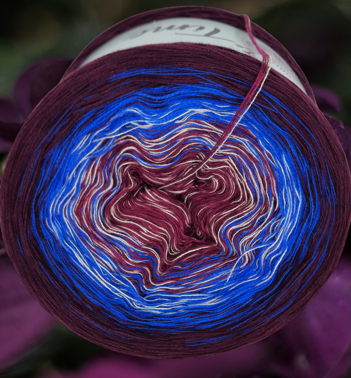 U 202 Bobbel 1200m/4