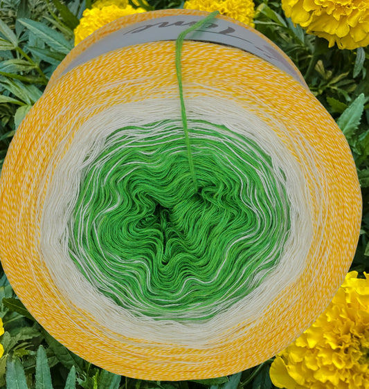 U 205 Bobbel 1200m/3