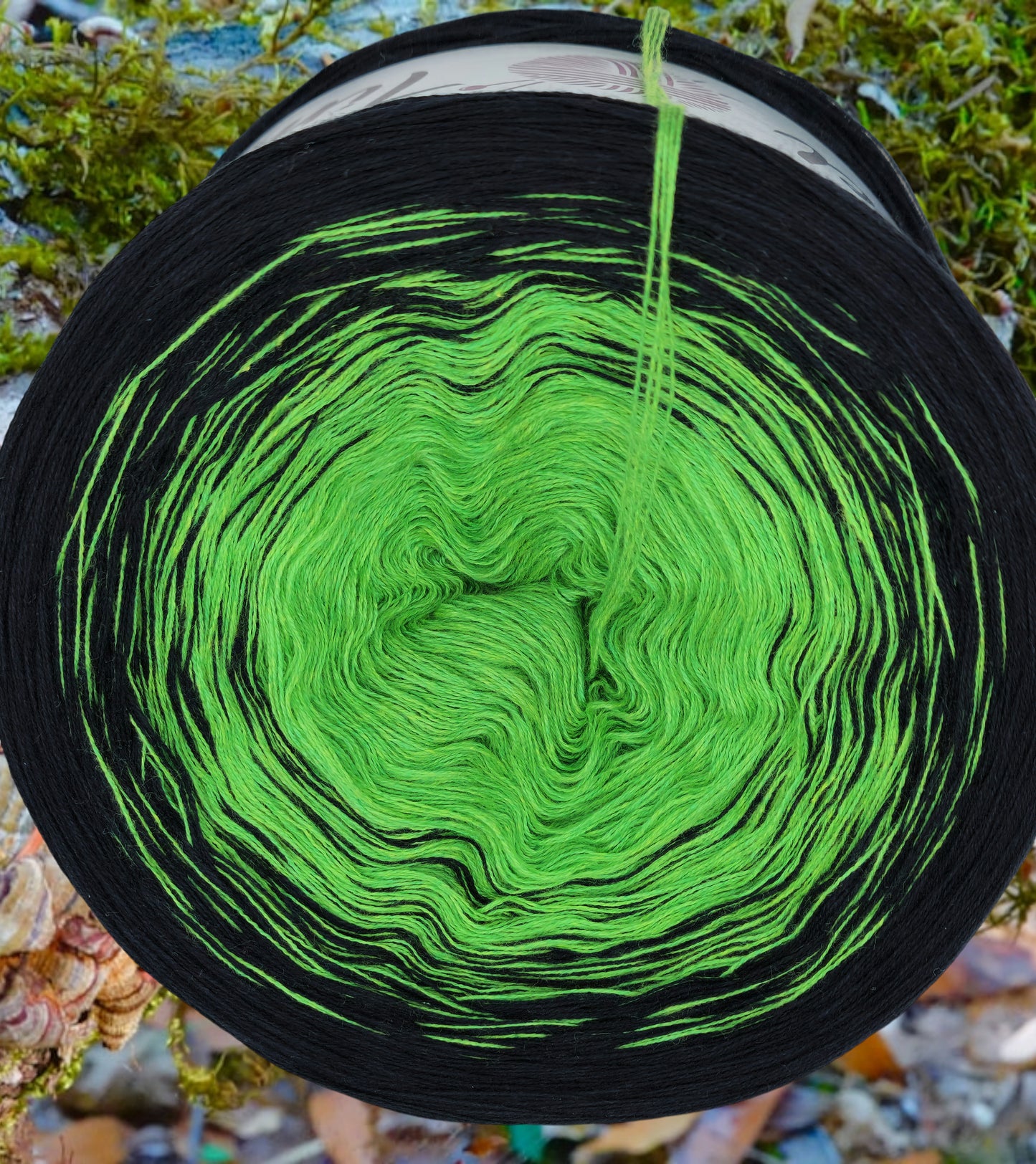 U 214 Bobbel 1200m/4