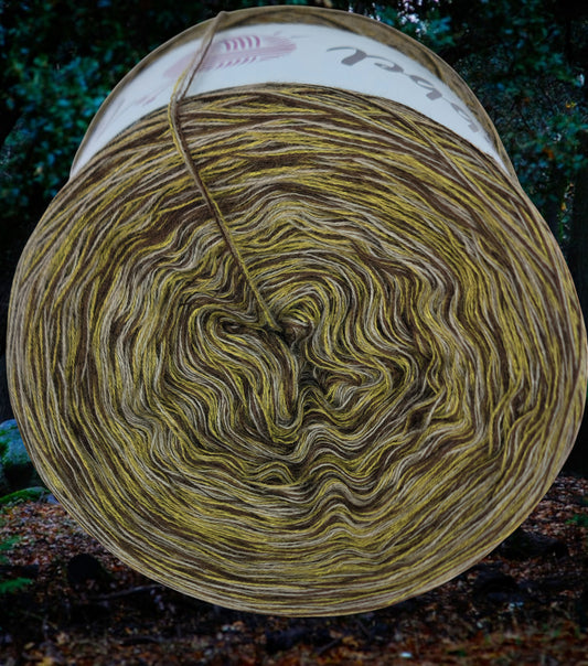 U 269 Bobbel 1200m/3